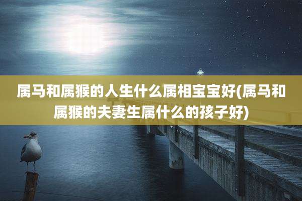 属马和属猴的人生什么属相宝宝好(属马和属猴的夫妻生属什么的孩子好)