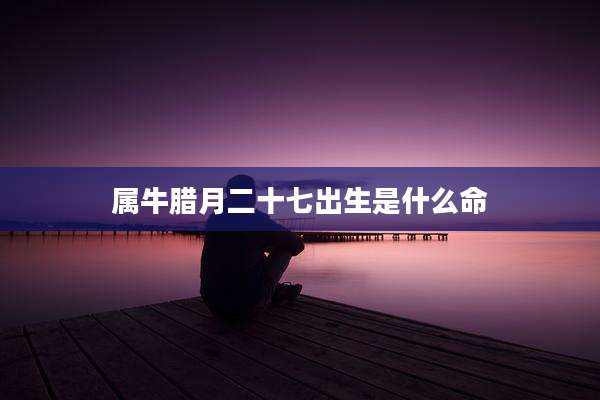 属牛腊月二十七出生是什么命