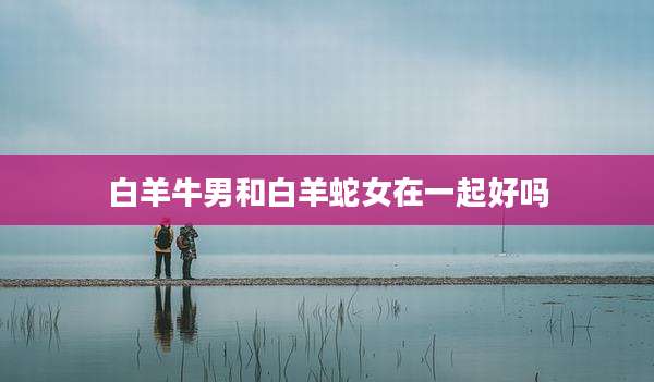 白羊牛男和白羊蛇女在一起好吗