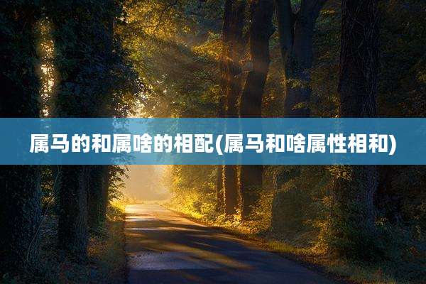 属马的和属啥的相配(属马和啥属性相和)