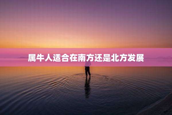 属牛人适合在南方还是北方发展