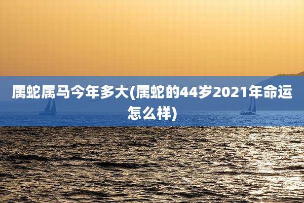 属蛇属马今年多大(属蛇的44岁2021年命运怎么样)
