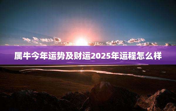 属牛今年运势及财运2025年运程怎么样
