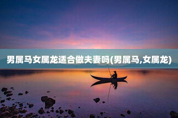 男属马女属龙适合做夫妻吗(男属马,女属龙)