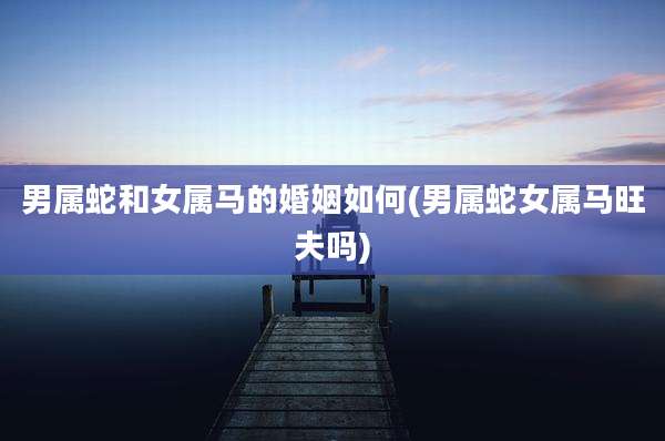 男属蛇和女属马的婚姻如何(男属蛇女属马旺夫吗)