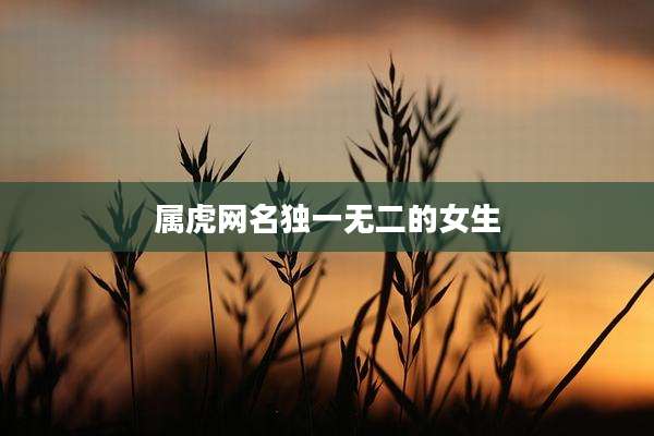 属虎网名独一无二的女生