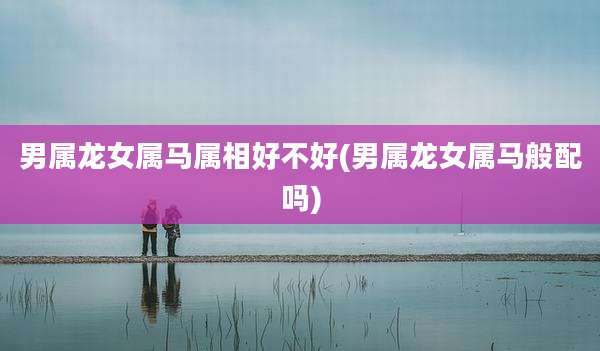 男属龙女属马属相好不好(男属龙女属马般配吗)