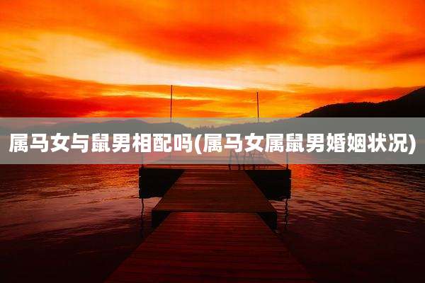 属马女与鼠男相配吗(属马女属鼠男婚姻状况)