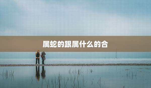 属蛇的跟属什么的合