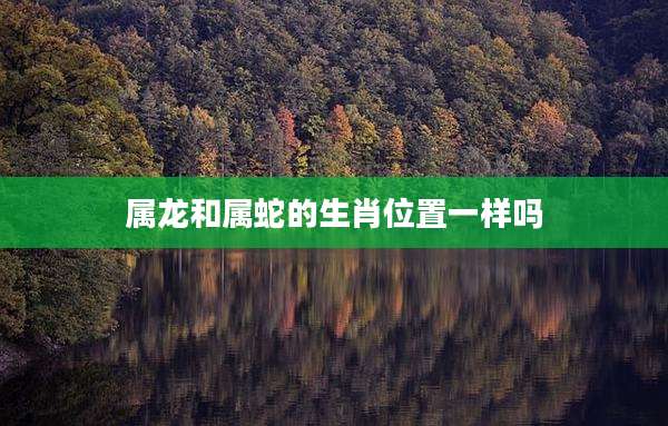 属龙和属蛇的生肖位置一样吗