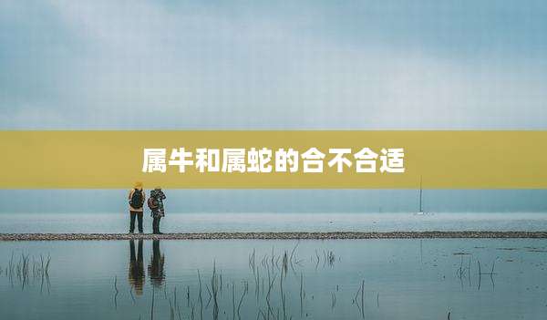 属牛和属蛇的合不合适