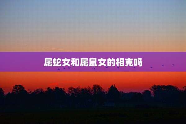 属蛇女和属鼠女的相克吗