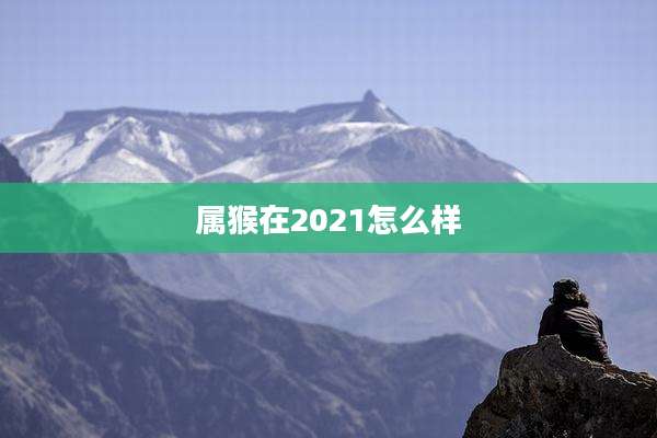 属猴在2021怎么样