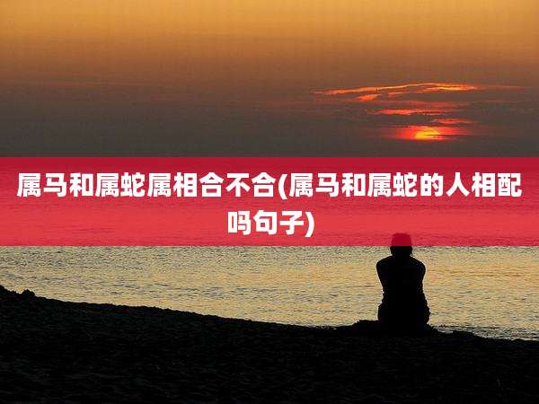 属马和属蛇属相合不合(属马和属蛇的人相配吗句子)