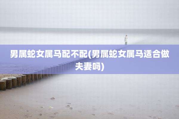 男属蛇女属马配不配(男属蛇女属马适合做夫妻吗)