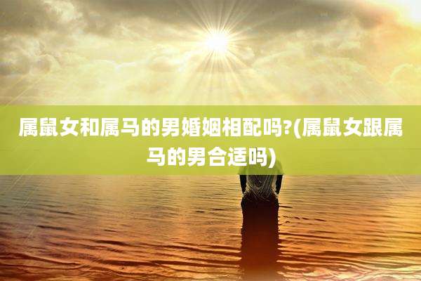 属鼠女和属马的男婚姻相配吗?(属鼠女跟属马的男合适吗)