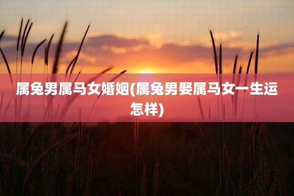 属兔男属马女婚姻(属兔男娶属马女一生运怎样)