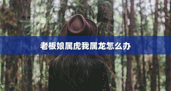 老板娘属虎我属龙怎么办