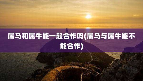属马和属牛能一起合作吗(属马与属牛能不能合作)