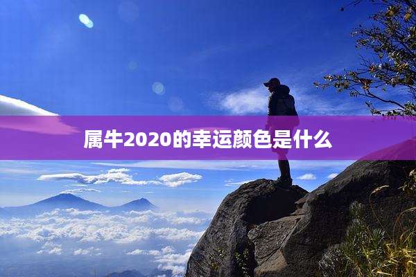 属牛2020的幸运颜色是什么