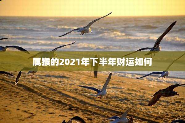 属猴的2021年下半年财运如何