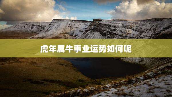 虎年属牛事业运势如何呢