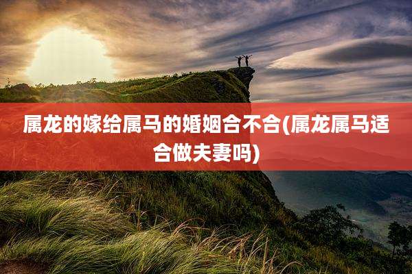 属龙的嫁给属马的婚姻合不合(属龙属马适合做夫妻吗)