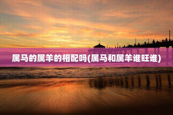 属马的属羊的相配吗(属马和属羊谁旺谁)