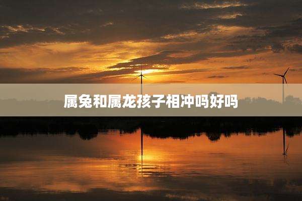 属兔和属龙孩子相冲吗好吗