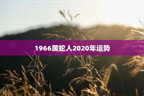 1966属蛇人2020年运势