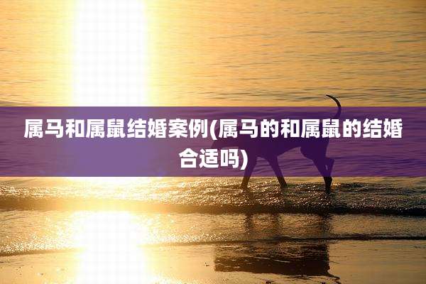 属马和属鼠结婚案例(属马的和属鼠的结婚合适吗)