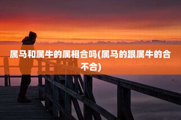 属马和属牛的属相合吗(属马的跟属牛的合不合)
