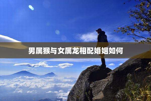 男属猴与女属龙相配婚姻如何