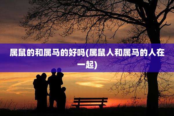 属鼠的和属马的好吗(属鼠人和属马的人在一起)