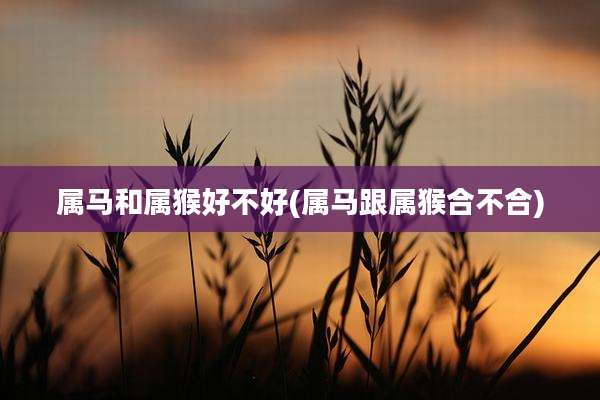 属马和属猴好不好(属马跟属猴合不合)