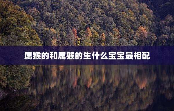 属猴的和属猴的生什么宝宝最相配