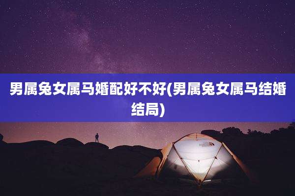 男属兔女属马婚配好不好(男属兔女属马结婚结局)