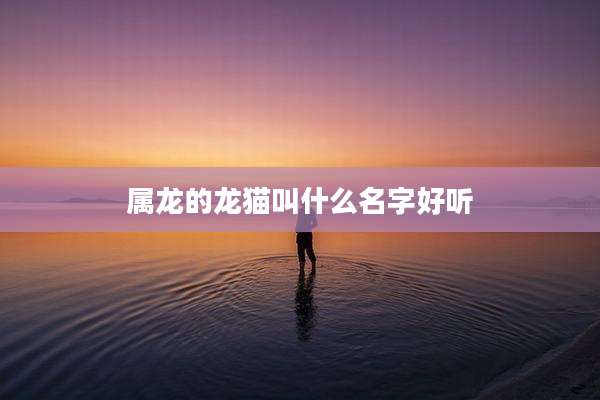属龙的龙猫叫什么名字好听