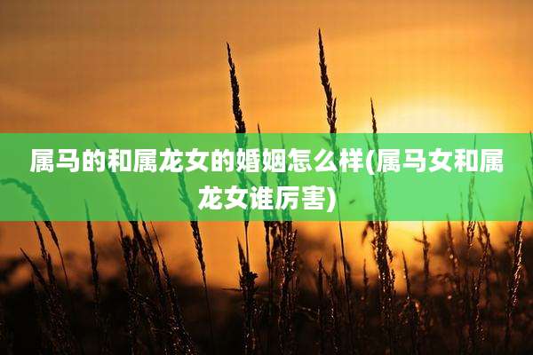 属马的和属龙女的婚姻怎么样(属马女和属龙女谁厉害)