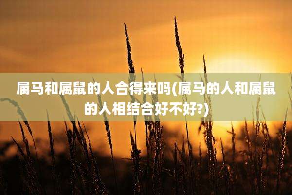 属马和属鼠的人合得来吗(属马的人和属鼠的人相结合好不好?)