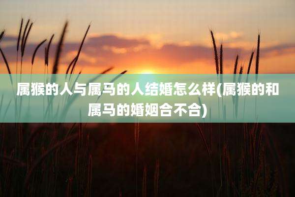 属猴的人与属马的人结婚怎么样(属猴的和属马的婚姻合不合)