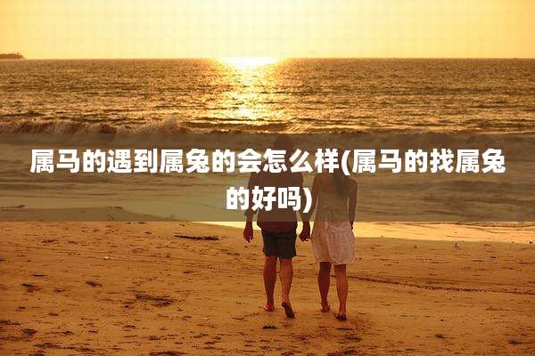 属马的遇到属兔的会怎么样(属马的找属兔的好吗)