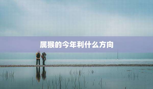 属猴的今年利什么方向