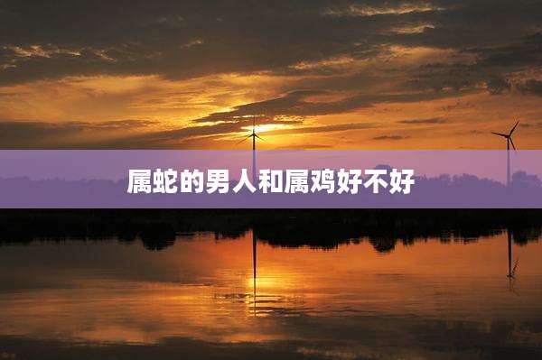 属蛇的男人和属鸡好不好