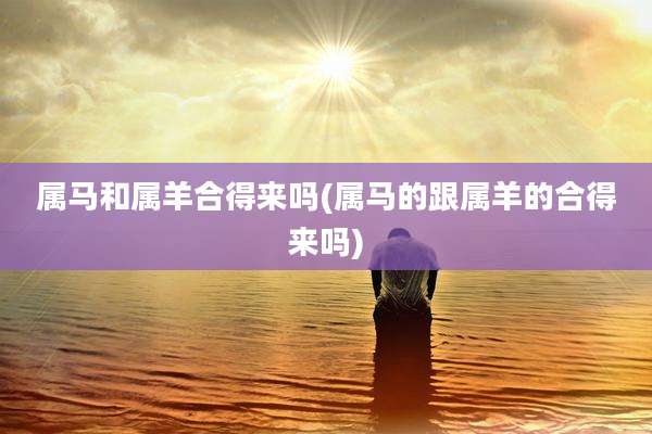 属马和属羊合得来吗(属马的跟属羊的合得来吗)