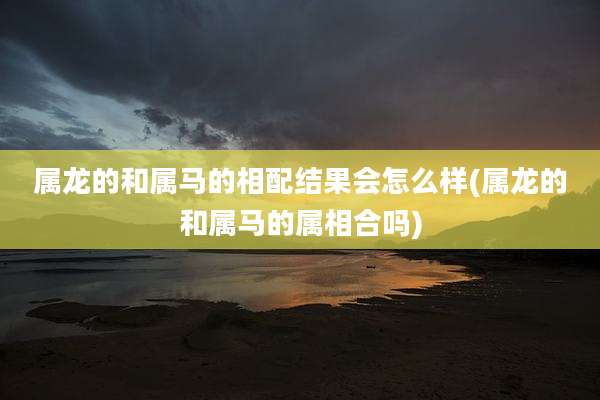 属龙的和属马的相配结果会怎么样(属龙的和属马的属相合吗)