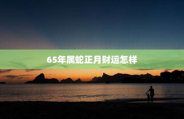 65年属蛇正月财运怎样