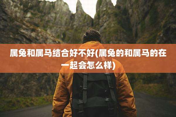 属兔和属马结合好不好(属兔的和属马的在一起会怎么样)