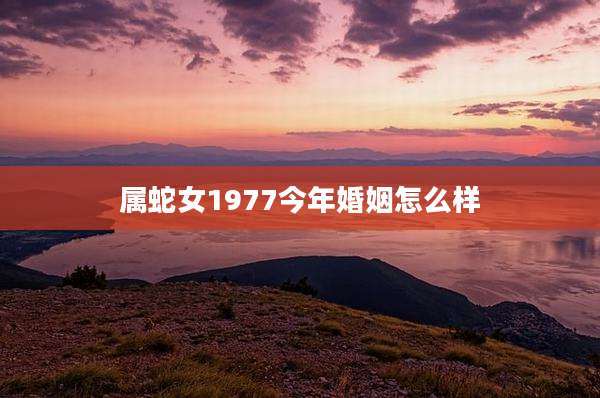 属蛇女1977今年婚姻怎么样