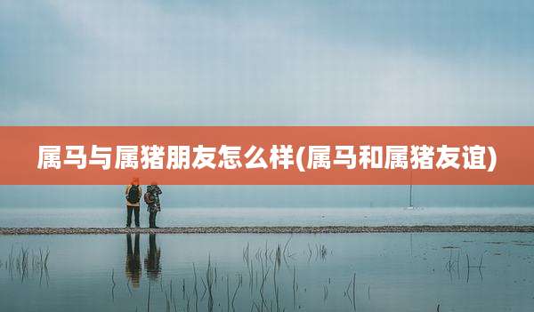 属马与属猪朋友怎么样(属马和属猪友谊)